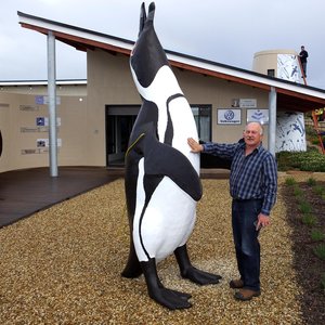 Wilfred Chivell staan by die enorme 3m Afrika Pikkewyn kort voordat dit met ‘n hyskraan op die APSS sentrum se dak geplaas is